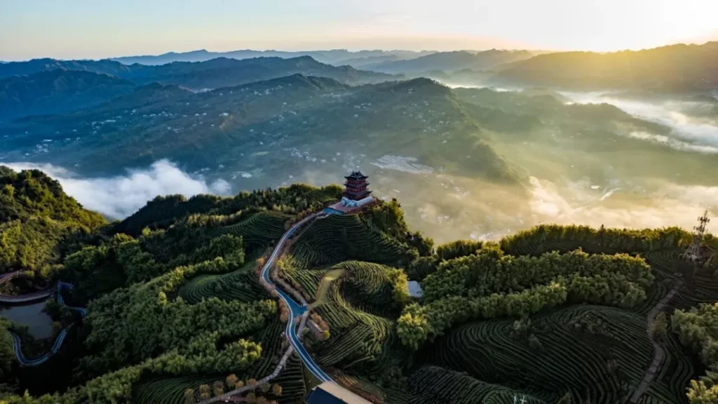 「屏山秋季限定打卡日历 」新鲜出炉→