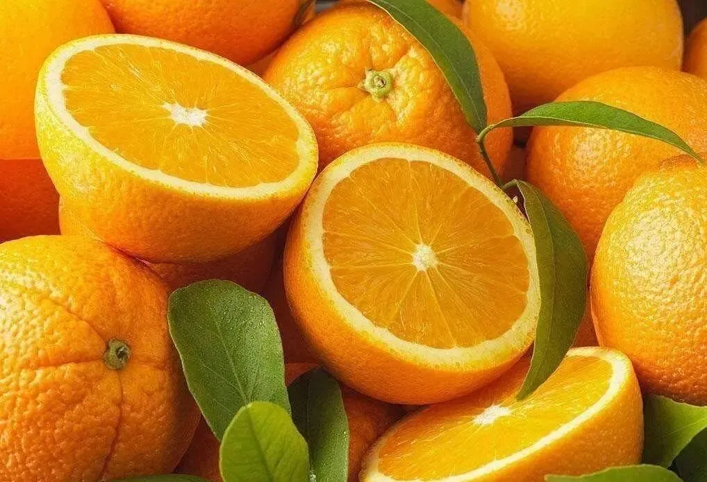 「屏山秋季限定打卡日历 」新鲜出炉→