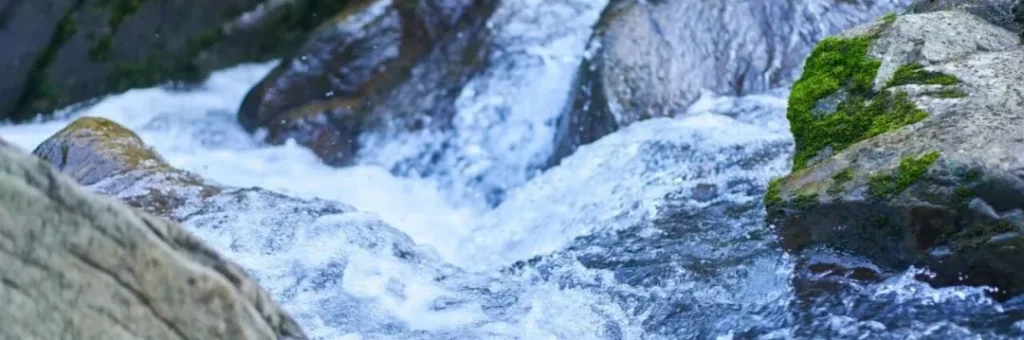 「屏山秋季限定打卡日历 」新鲜出炉→