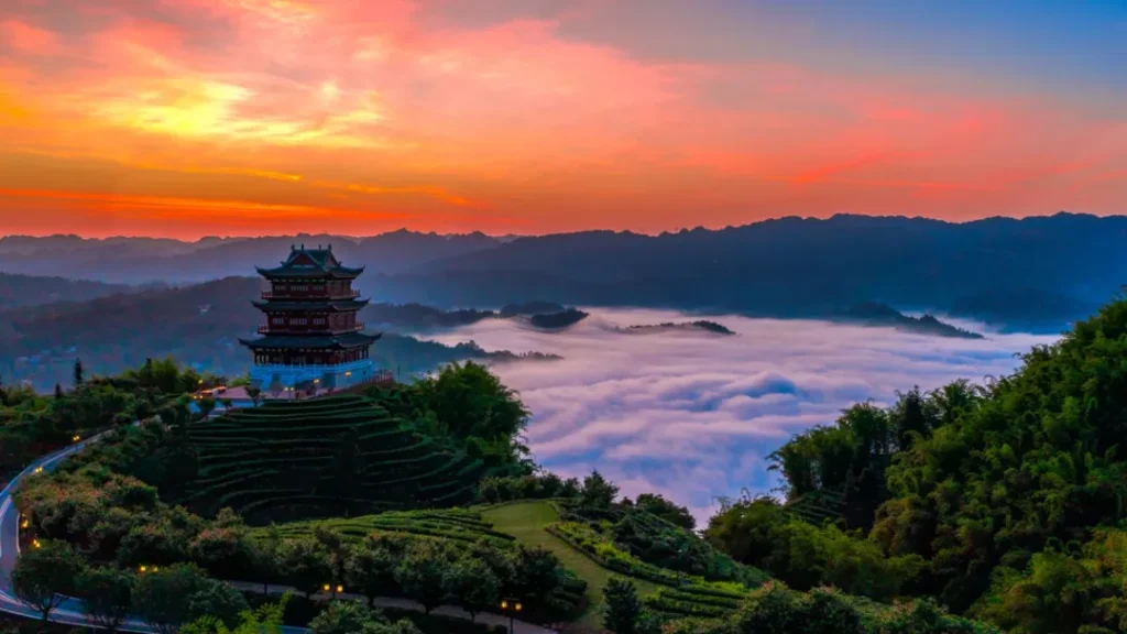 「屏山秋季限定打卡日历 」新鲜出炉→