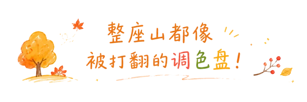 安逸四川·屏山之秋 | 屏山老君山申请出战！