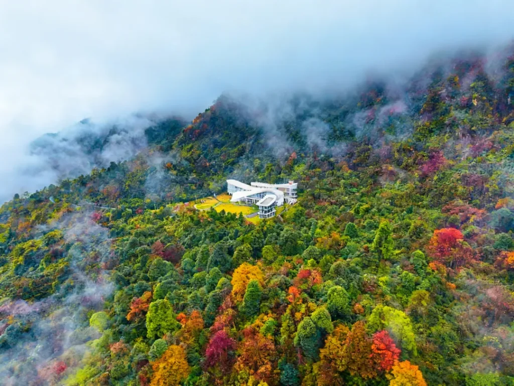安逸四川·屏山之秋 | 屏山老君山申请出战！